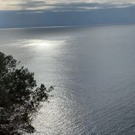 Lucky Lejlighed Potos